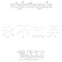 Produktbild: Nightingale: White Darkness (Re-issue,2CD Jewelcase)