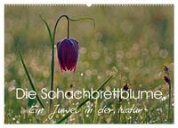 Produktbild: Die Schachbrettblume (Wandkalender 2026 DIN A2 quer), CALVENDO Monatskalender