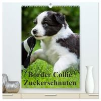 Produktbild: Border Collie Zuckerschnuten (hochwertiger Premium Wandkalender 2027 DIN A2 hoch), Kunstdruck in Hochglanz