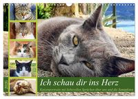 Produktbild: Ich schau dir ins Herz (Wandkalender 2026 DIN A3 quer), CALVENDO Monatskalender