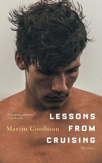 Produktbild: Lessons from Cruising