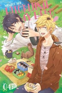 Produktbild: Hitorijime my Hero 4