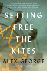 Bild vom Artikel George, A: Setting Free The Kites vom Autor Alex George