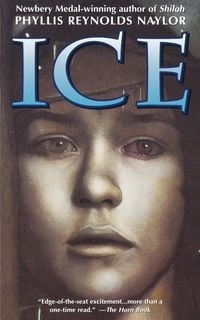 Produktbild: Ice