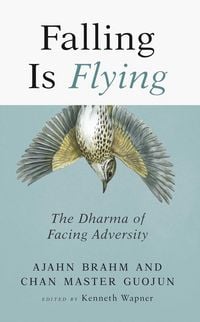 Produktbild: Falling is Flying