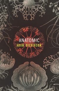 Produktbild: Anatomic