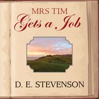 Produktbild: Mrs Tim Gets a Job