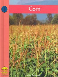 Produktbild: Corn