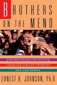 Produktbild: Brothers on the Mend
