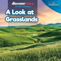 Produktbild: A Look at Grasslands