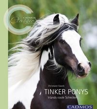 Bild vom Artikel Tinker Ponys vom Autor Christiane Slawik