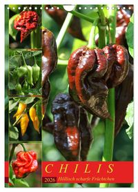 Produktbild: Chilis - H&ouml;llisch scharfe Fr&uuml;chtchen (Wandkalender 2026 DIN A4 hoch), CALVENDO Monatskalender