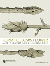 Bild vom Artikel Form Follows Flower vom Autor 
