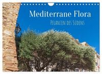 Produktbild: Mediterrane Flora - Pflanzen des S&uuml;dens (Wandkalender 2026 DIN A4 quer), CALVENDO Monatskalender