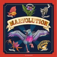 Produktbild: Marvolution