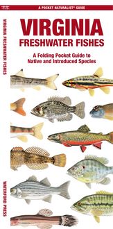 Produktbild: Virginia Freshwater Fishes