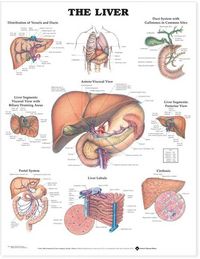 Produktbild: Tbd: Liver Pu
