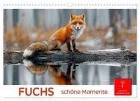 Produktbild: Fuchs - sch&ouml;ne Momente (Wandkalender 2026 DIN A3 quer), CALVENDO Monatskalender