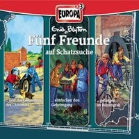 Produktbild: 3er-Box: F&uuml;nf Freunde auf Schatzsuche