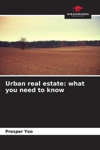 Produktbild: Urban real estate: what you need to know