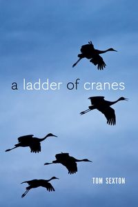 Produktbild: Ladder of Cranes