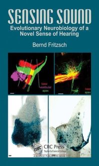 Produktbild: Fritzsch, B: Sensing Sound: Neurobiology of the Acquisition