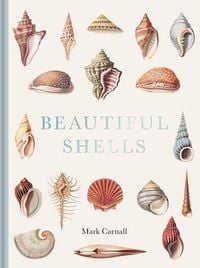 Produktbild: Beautiful Shells