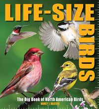 Produktbild: Life-Size Birds
