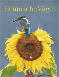 Bild vom Artikel Heimische Vögel Kalender 2024. Wandkalender mit 12 Fotografien heimischer Vogelarten. Tier-Kalender 2024 zum Aufhängen. Foto-Kalender mit Monatsübe vom Autor 