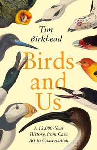 Produktbild: Birkhead, T: Birds and Us