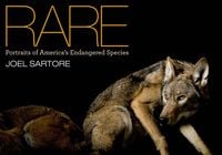 Produktbild: Rare
