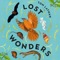 Produktbild: Lost Wonders
