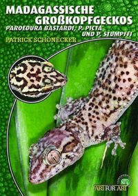 Produktbild: Madagassische Gro&szlig;kopfgeckos