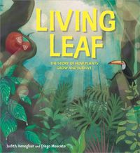 Produktbild: Heneghan, J: Plant Life: Living Leaf