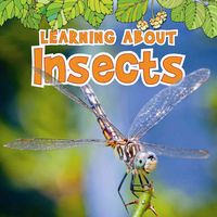 Produktbild: Learning about Insects