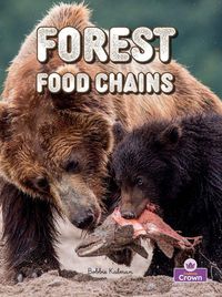 Produktbild: Forest Food Chains