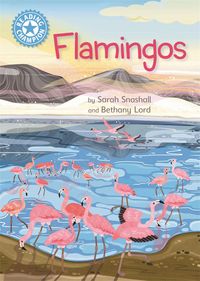 Produktbild: Reading Champion: Flamingos