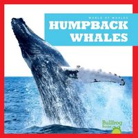 Produktbild: Humpback Whales