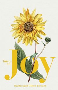 Produktbild: Intro to Joy