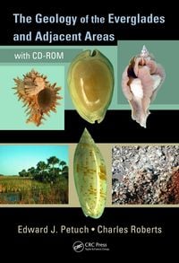 Produktbild: The Geology of the Everglades and Adjacent Areas