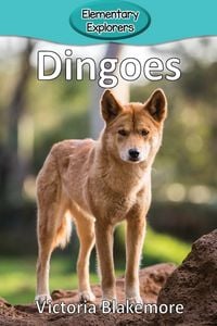 Produktbild: Dingoes
