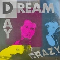 Bild vom Artikel Crazy, 1 LP vom Autor Daydream