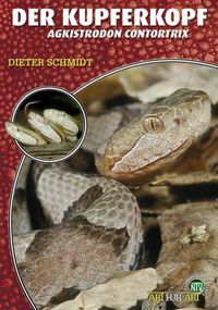 Produktbild: Der Kupferkopf