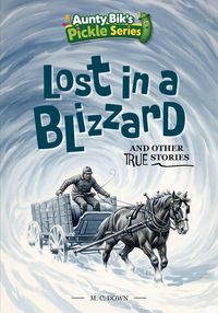 Produktbild: Lost in a Blizzard and other true stories