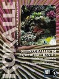 Produktbild: Steinkorallen im Aquarium