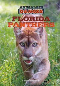 Produktbild: Florida Panthers