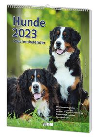 Bild vom Artikel Wochenkalender Hunde 2023 vom Autor 