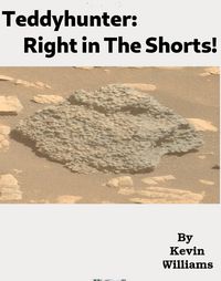 Produktbild: Teddyhunter: Right in the Shorts