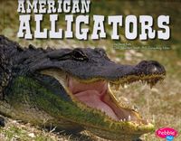 Produktbild: Potts, S: American Alligators