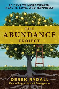 Produktbild: Abundance Project